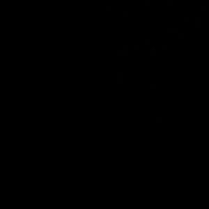 Meet your Posher, Jazmin